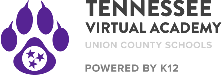 Tennessee Virtual Academy